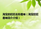 淘寶的旺旺名稱是啥（淘寶旺旺是啥簡介介紹）