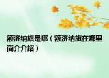 額濟(jì)納旗是哪（額濟(jì)納旗在哪里簡(jiǎn)介介紹）