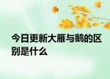 今日更新大雁與鵝的區(qū)別是什么