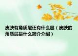 皮膚有角質(zhì)層還有什么層（皮膚的角質(zhì)層是什么簡介介紹）