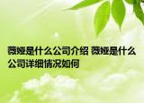 薇婭是什么公司介紹 薇婭是什么公司詳細(xì)情況如何