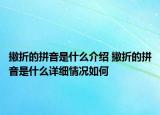 撇折的拼音是什么介紹 撇折的拼音是什么詳細(xì)情況如何