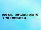 泥融飛燕子 是什么意思（泥融飛燕子飛什么意思簡介介紹）