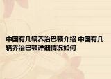 中國(guó)有幾輛喬治巴頓介紹 中國(guó)有幾輛喬治巴頓詳細(xì)情況如何