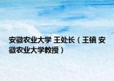 安徽農(nóng)業(yè)大學(xué) 王處長(zhǎng)（王鎮(zhèn) 安徽農(nóng)業(yè)大學(xué)教授）
