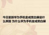 今日更新華為手機變成黑白屏是什么原因 為什么華為手機變成黑白屏