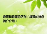 袋獾和狼獾的區(qū)別（袋獾的特點簡介介紹）