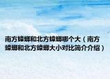 南方蟑螂和北方蟑螂哪個(gè)大（南方蟑螂和北方蟑螂大小對(duì)比簡(jiǎn)介介紹）