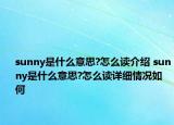 sunny是什么意思?怎么讀介紹 sunny是什么意思?怎么讀詳細(xì)情況如何