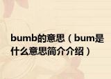 bumb的意思（bum是什么意思簡介介紹）