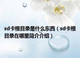 sd卡根目錄是什么東西（sd卡根目錄在哪里簡(jiǎn)介介紹）