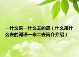 一什么來一什么去的詞（什么來什么去的詞語一來二去簡介介紹）