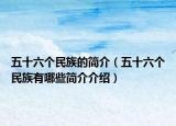 五十六個民族的簡介（五十六個民族有哪些簡介介紹）
