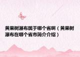 黃果樹瀑布屬于哪個省?。S果樹瀑布在哪個省市簡介介紹）