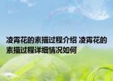 凌霄花的素描過程介紹 凌霄花的素描過程詳細情況如何