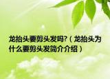 龍?zhí)ь^要剪頭發(fā)嗎?（龍?zhí)ь^為什么要剪頭發(fā)簡(jiǎn)介介紹）