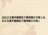 山丘之王是不是穆拉丁銅須簡介介紹（山丘之王是不是穆拉丁銅須簡介介紹）