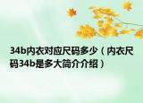 34b內(nèi)衣對(duì)應(yīng)尺碼多少（內(nèi)衣尺碼34b是多大簡(jiǎn)介介紹）