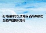 而鳥(niǎo)鴯鹋怎么讀介紹 而鳥(niǎo)鴯鹋怎么讀詳細(xì)情況如何