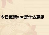今日更新npc是什么意思