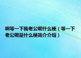 啊等一下我老公呢什么梗（等一下老公呢是什么梗簡(jiǎn)介介紹）