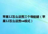 蘋果12怎么設(shè)置三個導(dǎo)航鍵（蘋果12怎么設(shè)置sa模式）