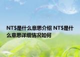 NT$是什么意思介紹 NT$是什么意思詳細(xì)情況如何