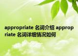appropriate 名詞介紹 appropriate 名詞詳細情況如何