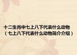 十二生肖中七上八下代表什么動物（七上八下代表什么動物簡介介紹）