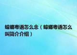 蟑螂粵語(yǔ)怎么念（蟑螂粵語(yǔ)怎么叫簡(jiǎn)介介紹）