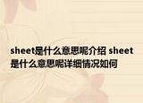 sheet是什么意思呢介紹 sheet是什么意思呢詳細(xì)情況如何