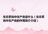 生態(tài)系統(tǒng)中生產(chǎn)者是什么（生態(tài)系統(tǒng)中生產(chǎn)者的作用簡介介紹）