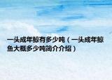 一頭成年鯨有多少噸（一頭成年鯨魚大概多少噸簡(jiǎn)介介紹）