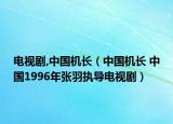 電視劇,中國機長（中國機長 中國1996年張羽執(zhí)導電視?。? /></span></a>
                        <h2><a href=