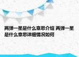 兩彈一星是什么意思介紹 兩彈一星是什么意思詳細(xì)情況如何