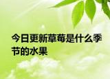 今日更新草莓是什么季節(jié)的水果