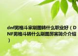 dnf男格斗家刷圖轉(zhuǎn)什么職業(yè)好（DNF男格斗轉(zhuǎn)什么刷圖厲害簡(jiǎn)介介紹）
