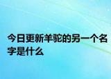 今日更新羊駝的另一個(gè)名字是什么