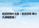 你還好嗎什么歌（你還好嗎 萌小凡演唱歌曲）