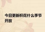 今日更新枳花什么季節(jié)開放