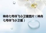 神舟七號伴飛小衛(wèi)星圖片（神舟七號伴飛小衛(wèi)星）