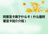 阿里寶卡屬于什么卡（什么是阿里寶卡簡介介紹）