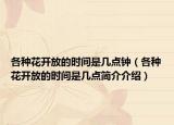 各種花開放的時間是幾點鐘（各種花開放的時間是幾點簡介介紹）
