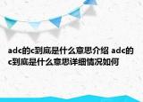 adc的c到底是什么意思介紹 adc的c到底是什么意思詳細(xì)情況如何