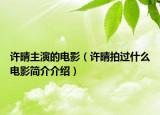 許晴主演的電影（許晴拍過什么電影簡介介紹）