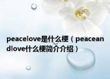 peacelove是什么梗（peaceandlove什么梗簡介介紹）