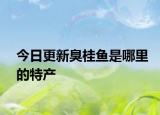今日更新臭桂魚是哪里的特產
