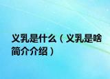義乳是什么（義乳是啥簡介介紹）