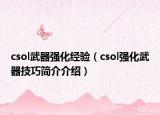 csol武器強(qiáng)化經(jīng)驗（csol強(qiáng)化武器技巧簡介介紹）
