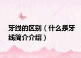 牙線的區(qū)別（什么是牙線簡(jiǎn)介介紹）